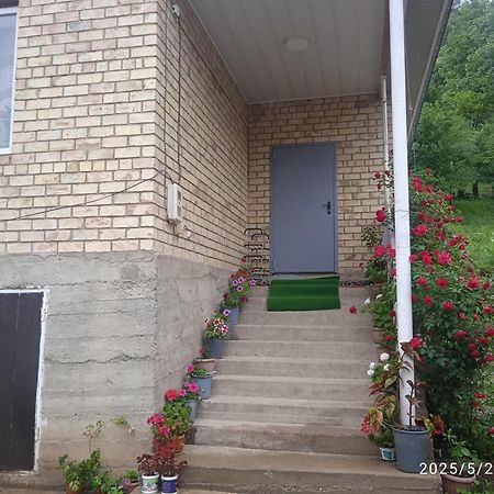Guest House Kyzyl Alma Arkit Buitenkant foto